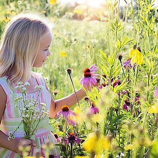 JPG: Kleines Mädchen pflückt Wildblumen