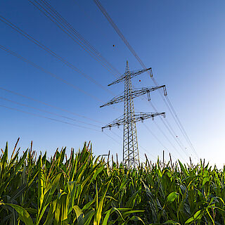 Strom- und Gaspreise