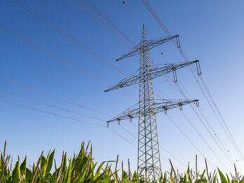 Strom- und Gaspreise