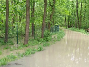 Download Pressebild: Illerhochwasser setzt Ulmer Trinkwasserbrunnen außer Betrieb