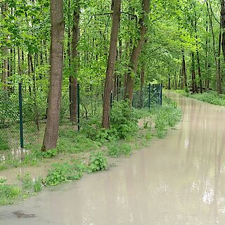 Download Pressebild: Illerhochwasser setzt Ulmer Trinkwasserbrunnen außer Betrieb