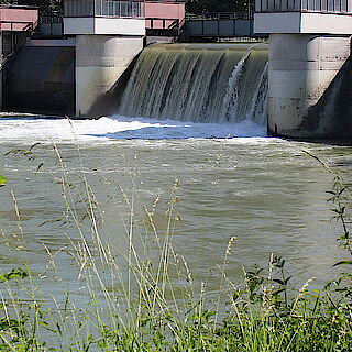 Ertüchtigung Damm erfolgreich abgeschlossen