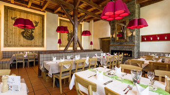 Bild SWU Referenzkunde Hotel-Restaurant Hirsch Neu-Ulm/Finningen