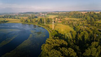 Artenreiche Magerwiese